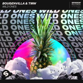 Album cover of Wild Ones