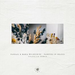 Album cover of Painting In Shades (edapollo Remix)