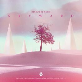 Album cover of Skyward