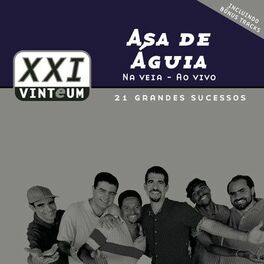 Album cover of Na Veia Ao Vivo - 21 Grandes Sucessos