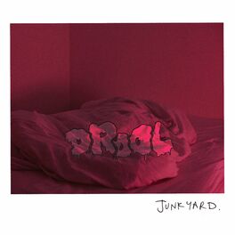 Album cover of Junkyard - EP