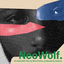 Album cover of NEO WOLF.