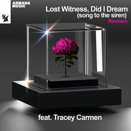 Album cover of Did I Dream (Song To The Siren) (Remixes)