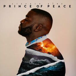 Album cover of Prince of Peace