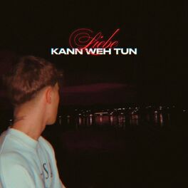 Album cover of Liebe kann weh tun