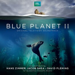 Album cover of Blue Planet II (Original Television Soundtrack)