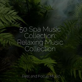 Album cover of 50 Spa Music Collection: Relaxing Music Collection