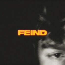 Album cover of Feind