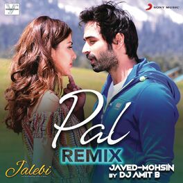 Album cover of Pal (Remix From 