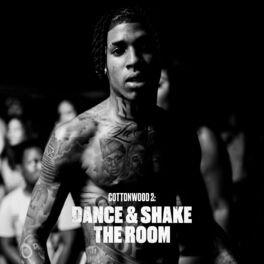 Album cover of Cottonwood 2: DANCE & SHAKE THE ROOM