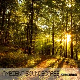 Album cover of Ambient SoundScapes, Vol. 15
