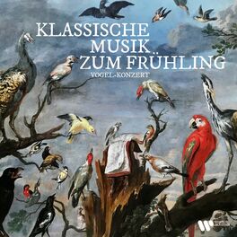 Album cover of Klassische Musik zum Frühling. Vogel-Konzert