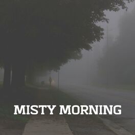 Album cover of Misty Morning