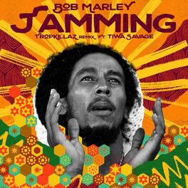 Album cover of Jamming (Tropkillaz Remix)