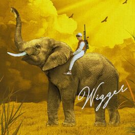 Album cover of Wigger