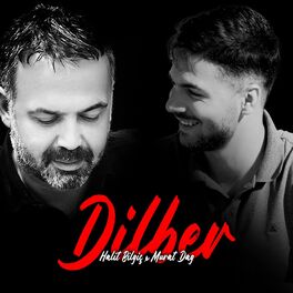 Album cover of Dilber