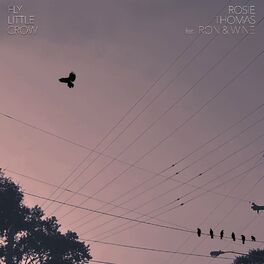 Album cover of Fly Little Crow