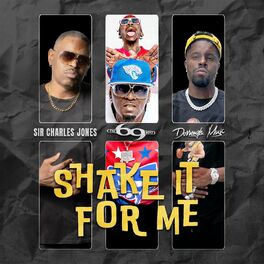 Album cover of Shake It For Me