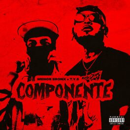 Album cover of Componente (feat. T.Y.S)
