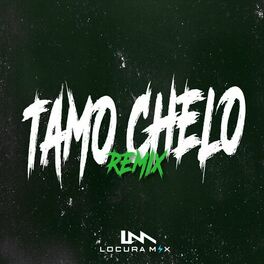 Album cover of Tamo Chelo (Remix)