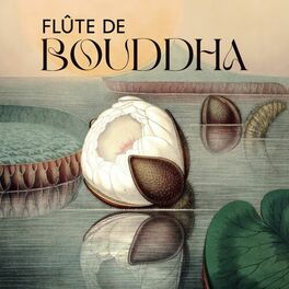 Album cover of Flûte de Bouddha: Musique pour réflexions et rituels relaxants