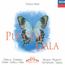 Album cover of Puccini Gala