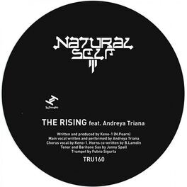 Album cover of The Rising