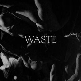 Album cover of Waste