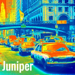 Album cover of Juniper