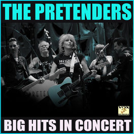 Album cover of Big Hits in Concert (Live)