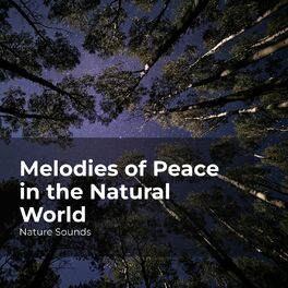 Album cover of Melodies of Peace in the Natural World