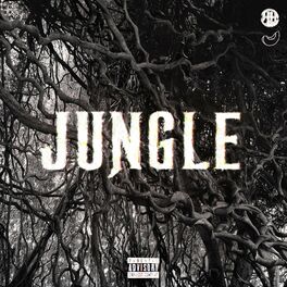 Album cover of JUNGLE