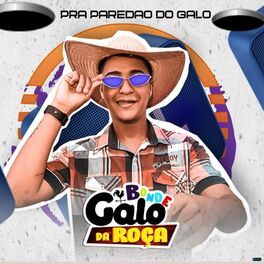 Album cover of Pra Paredão do Galo