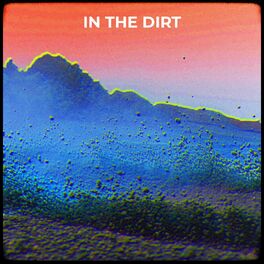Album cover of IN THE DIRT