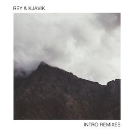 Album cover of Intro (Remixes)