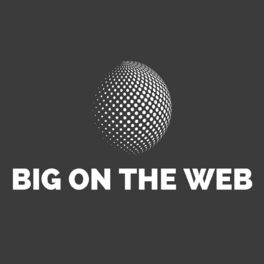 Album cover of Big on the Web