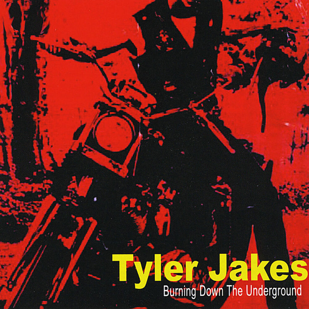 Burning down. Tyler Jakes Постер. Dissolution Tyler Jakes. Tyler Jakes музыкант. Tyler Jakes mp3 torrent.