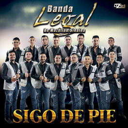 Album cover of Sigo De Pie