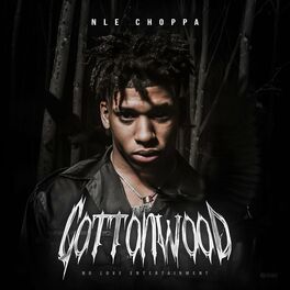 Album cover of Cottonwood