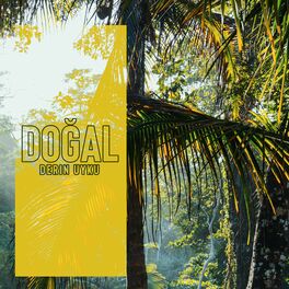 Album cover of Doğal Derin Uyku: Dinlenmek için Ormanın ve Tropiklerin Rahatlatıcı Sesleri