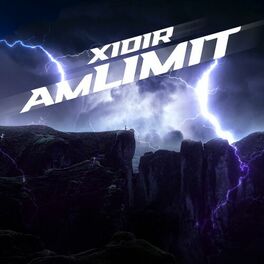 Album cover of Am Limit