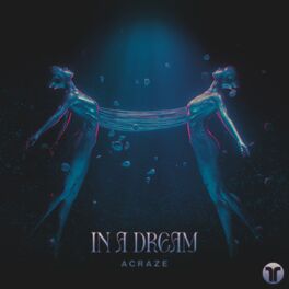 Album cover of In A Dream