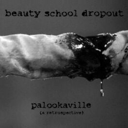Album cover of Palookaville (A Retrospective)