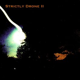 Album cover of Strictly Drone II