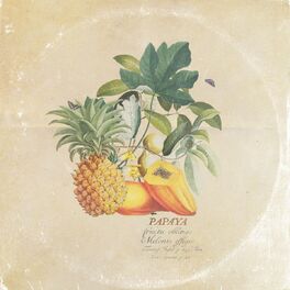 Album cover of Papaya and Friends