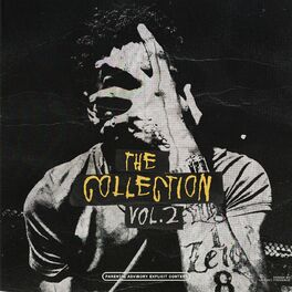 Album cover of The Collection Vol. 2