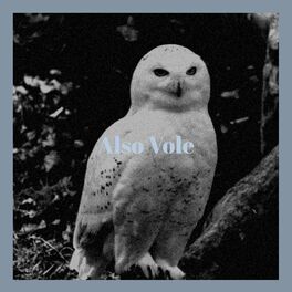 Album cover of Also Vole