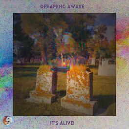 Dreaming Awake