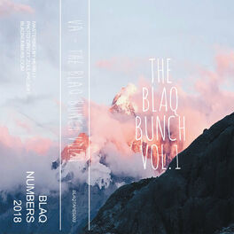 Album cover of The Blaq Bunch Vol.1