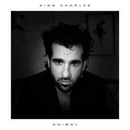 Album cover of Animal